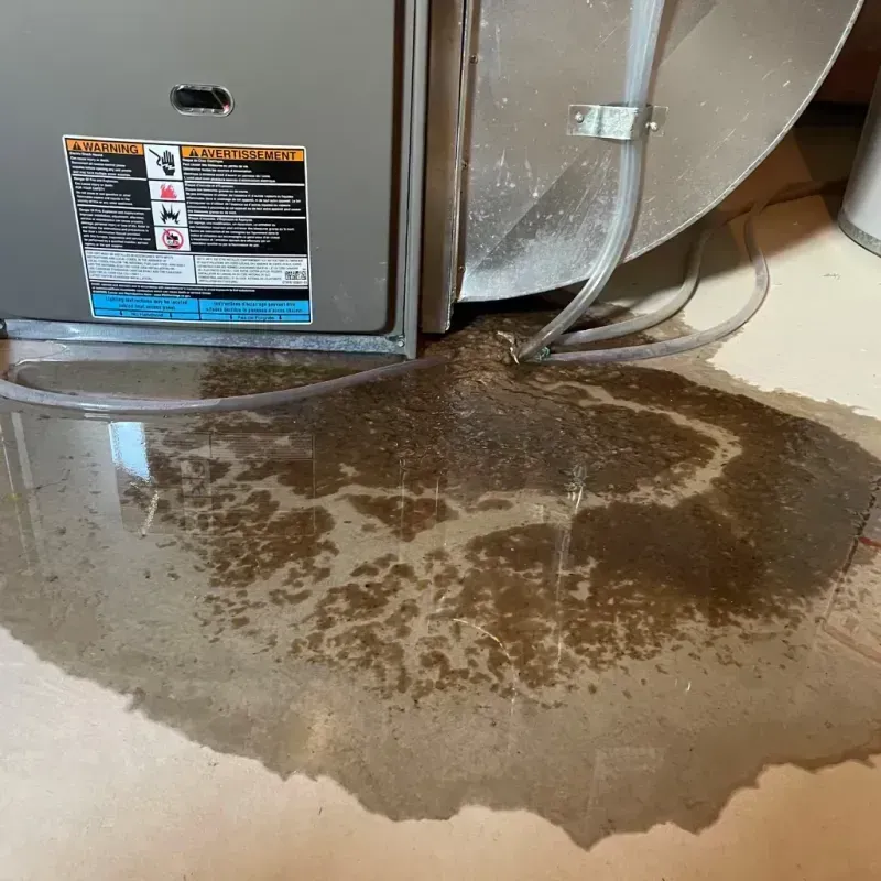 Appliance Leak Cleanup in Braintree, MA